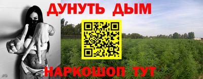 индика Пугачёв