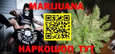 индика Пугачёв