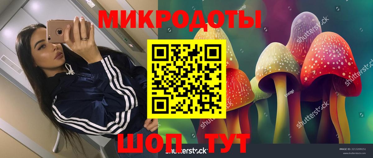 Норильск  Псилоцибиновые грибы мицелий  Галлюциногенные грибы GOLDEN TEACHER  Вход с VPN 
